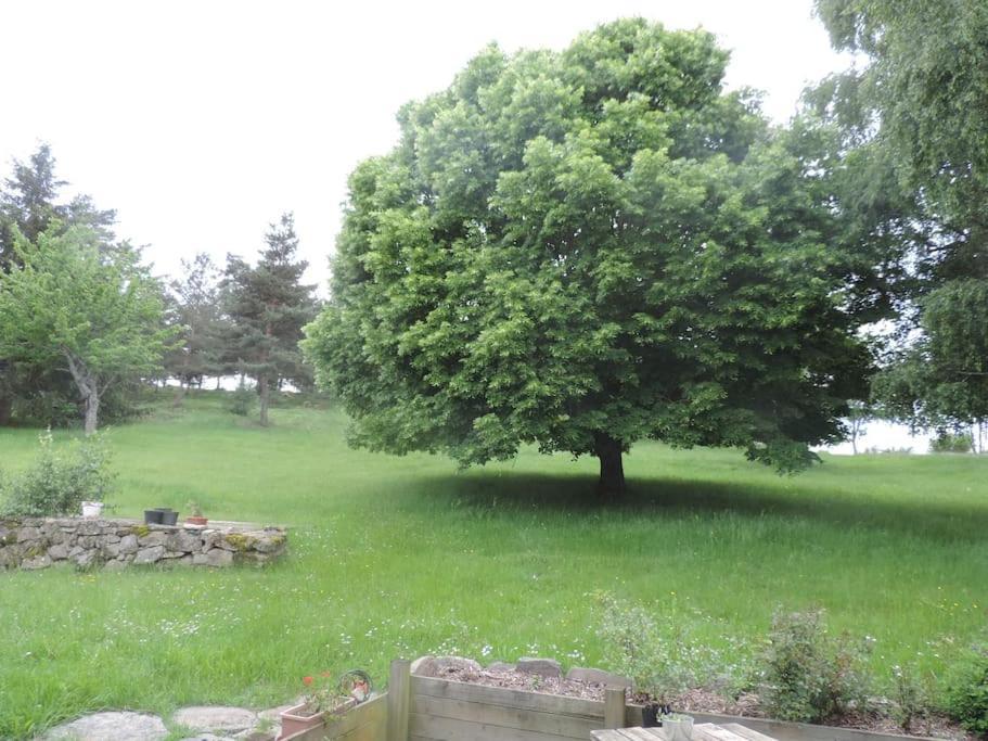 Chambre A La Campagne Saint Andre De Chalencon Eksteriør bilde